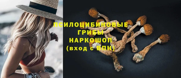 спиды Алексин