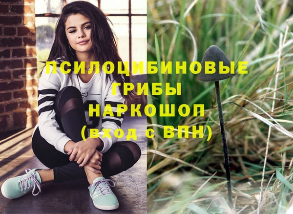 a pvp Армянск